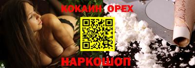 шишки Новодвинск