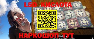 шишки Новодвинск