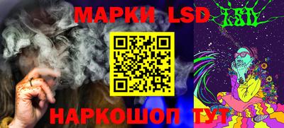твердый Новозыбков
