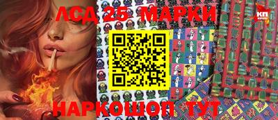 шишки Новодвинск