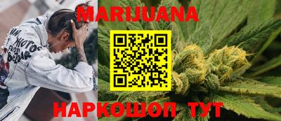 шишки Новодвинск