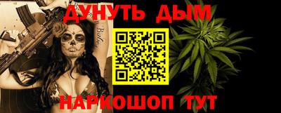 шишки Новодвинск