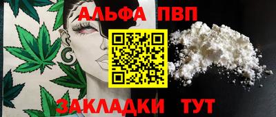 шишки Новодвинск