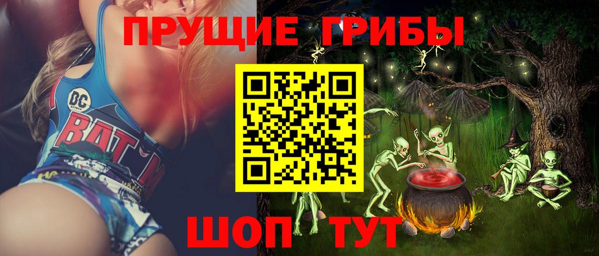 Славгород  Псилоцибиновые грибы Psilocybine cubensis  Вход с VPN 